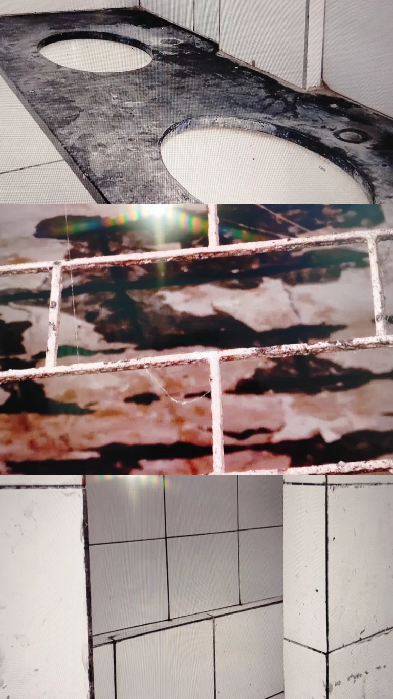 IMG_20251125_195228_360